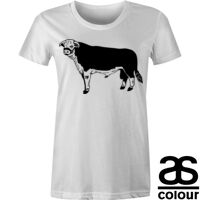 AS Colour - Women's Wafer Crew Tee (Slim Fit) Thumbnail